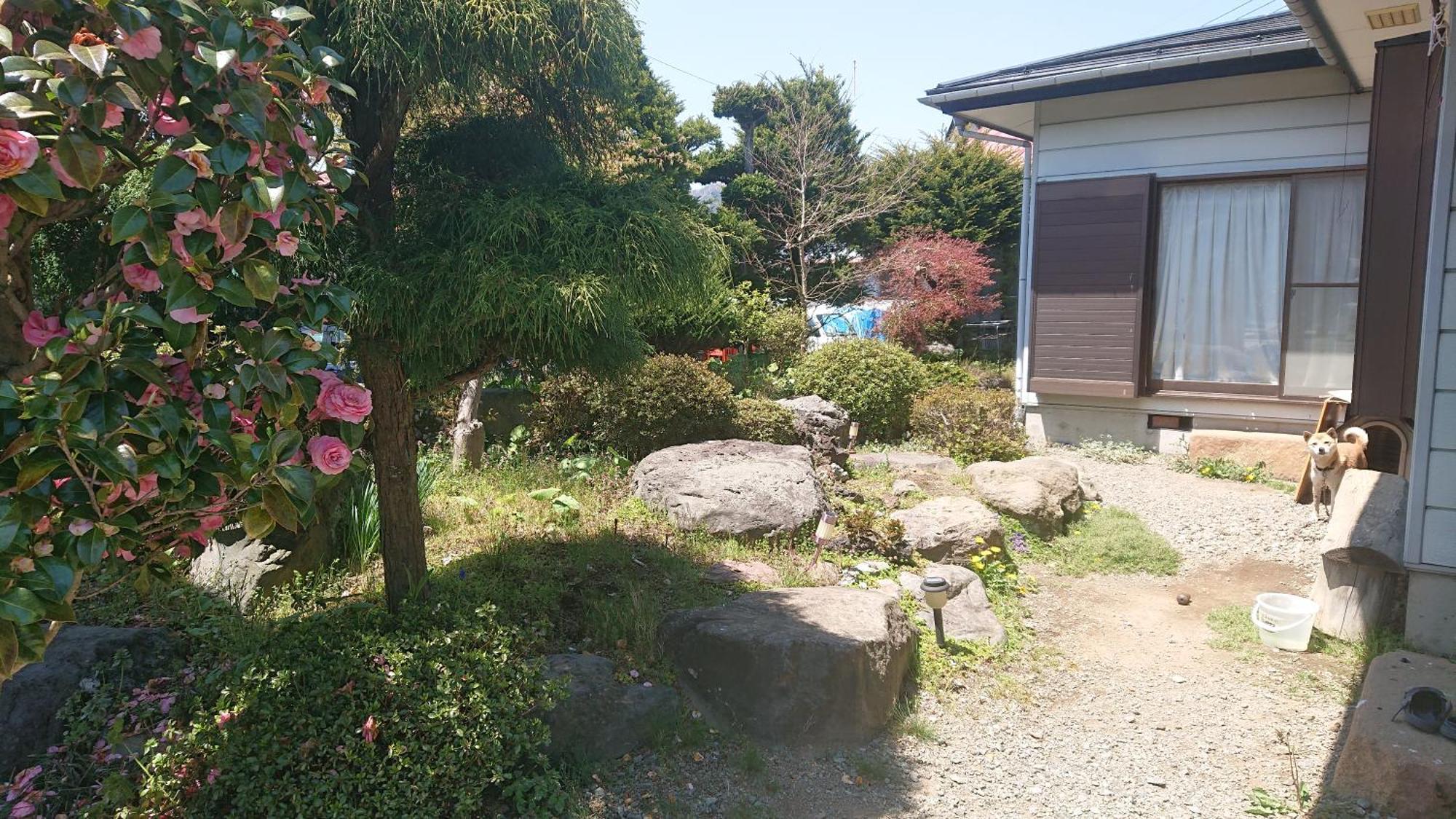T&T Fujiyama Guest House Fujiyoshida Εξωτερικό φωτογραφία